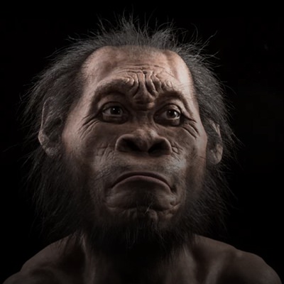 Anthropology