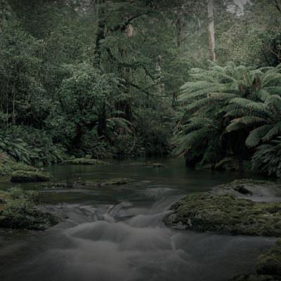 Ecology