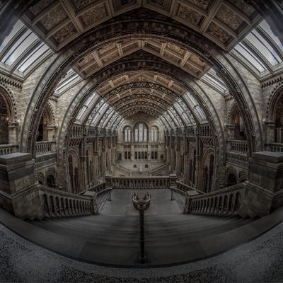 Natural History & Science